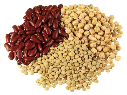 Đậu giúp ngăn ngừa ung thư ruột
