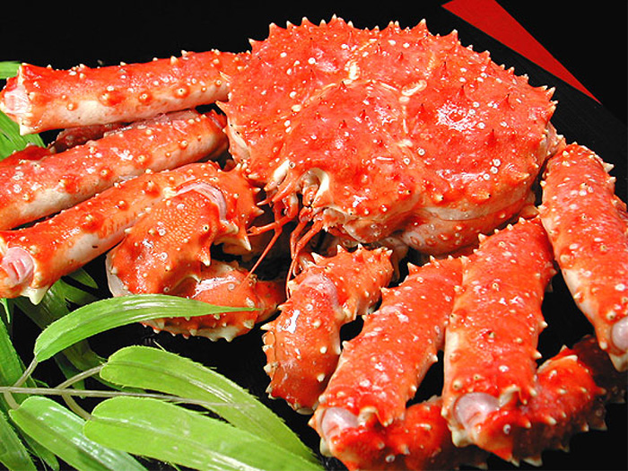 Cua bể chữa chứng đái dầm ở trẻ