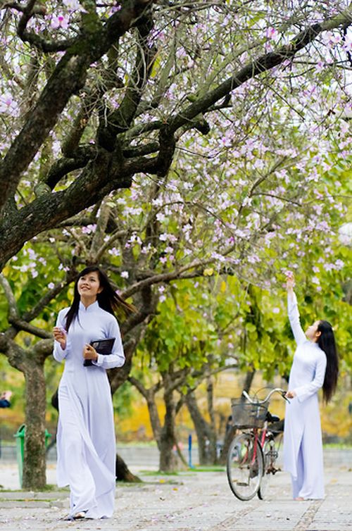 "Mùi "Hà Nội "Mùi "Hà Nội