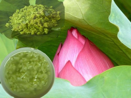 "Mùi "Hà Nội "Mùi "Hà Nội