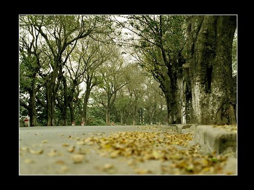 "Mùi "Hà Nội "Mùi "Hà Nội