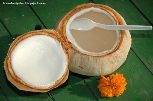 Rau câu dừa xiêm – món quà của mùa hè