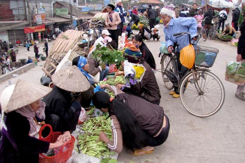 Còn 5 ngày nữa là đến Tết, người dân quê ngoại thành Hà Nội đang rộn ràng mua sắm. Các chợ lúc nào cũng tắp nập khách.