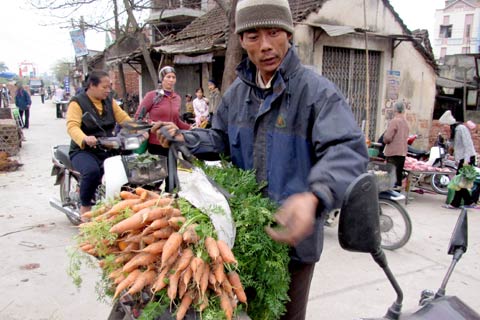 ... cà rốt bán theo cân. Giá mỗi cân khoảng 7.000- 10.000 đồng