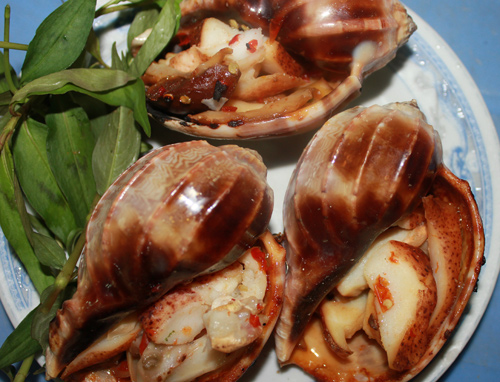 Mùi thơm phưng phức của thịt ốc, những tiếng xèo xèo của nước ốc nhỏ trên bếp than mang lại cảm giác thú vị.