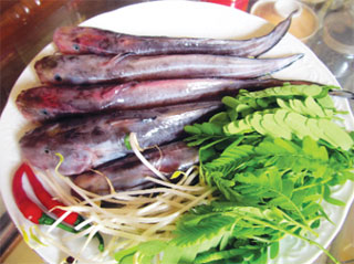 Nguyên liệu cá ngát và lá me non để nấu canh - Ảnh: Tuy An 