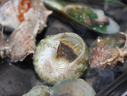 Ốc mú vàng