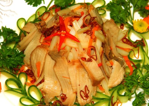 Gỏi bào ngư
