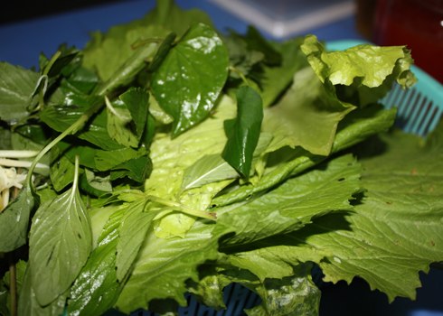 Rau sống