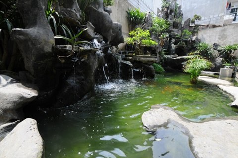 Không gian gần gũi với thiên nhiên tại nhà hàng.