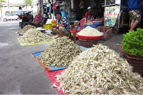 Củ kiệu Tết