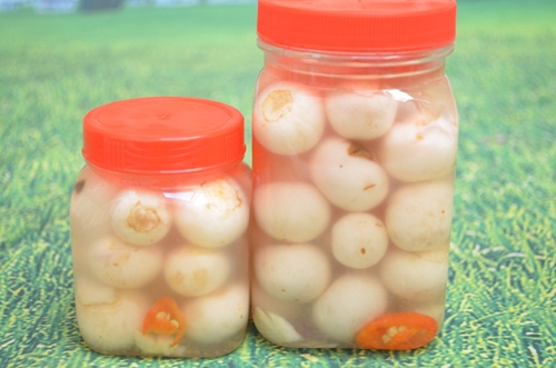 Cà Pháo Muối 10k/ Hộp Nhỏ 20k/ hộp lớn