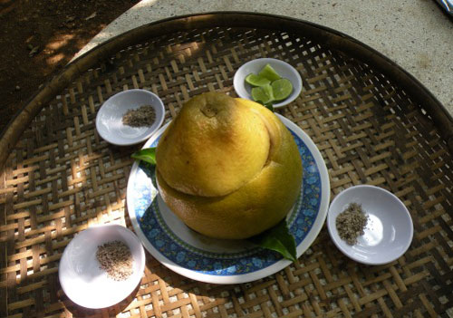 Bưởi ấp gà tre
