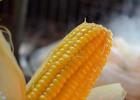 Cách luộc bắp ngon