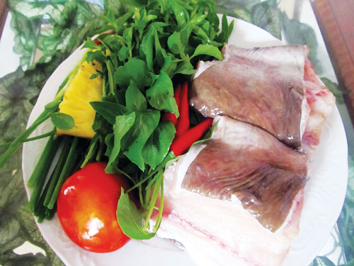 Chình biển