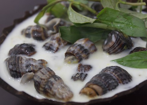 ốc len xào dừa