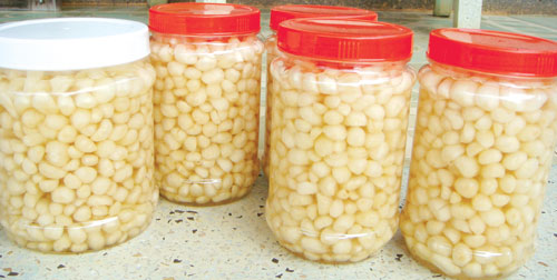 Nồng nồng củ kiệu và quê