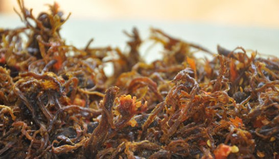  Khô bò sợi, hơi cay hơn các loại khô bò khác, khi ăn bạn nhớ vắt chanh ăn sẽ ngon hơn.