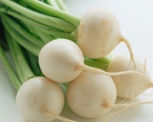 Củ cải