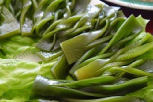 Rong biển