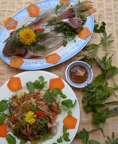 Cá chép "sung sướng"
