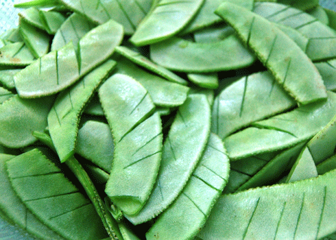 Đậu ván