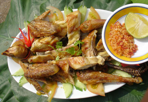 Gà rừng nước móc mật