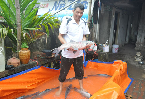 Làng cá kho nhộn nhịp mùa Tết