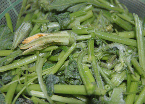Ngọn bí trộn