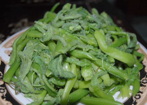 Ngọn bí trộn