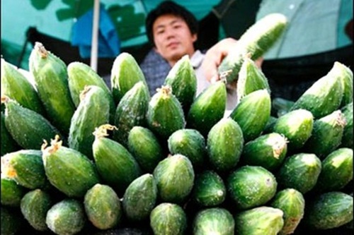 Dưa chuột