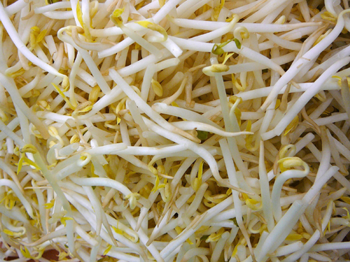 Giá đỗ