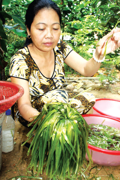 Rau xôộc xoạc