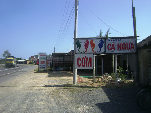 Săn "thần dược" cường dương
