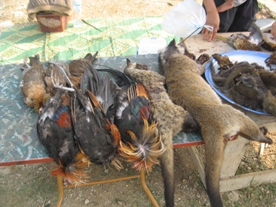 Ăn thịt sống ở Xiêng Khoảng 