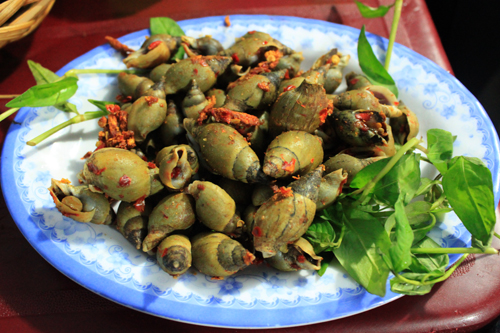 Ốc cau rang muối
