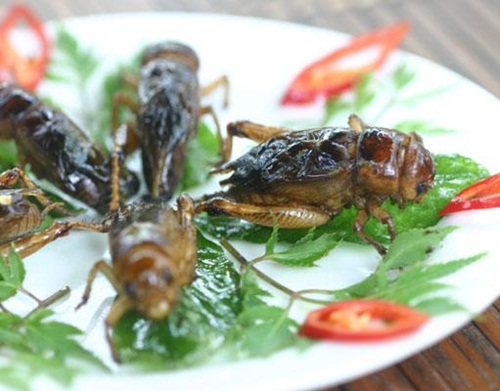 Món dế chiên