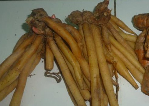 Gia vị ngải bún trong món bún miền Tây
