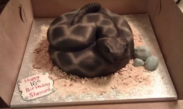 'Mốt' trăn màu xám được các teen yêu thích này đang bán rất chạy ở các cửa hàng bánh ngọt của Mỹ.