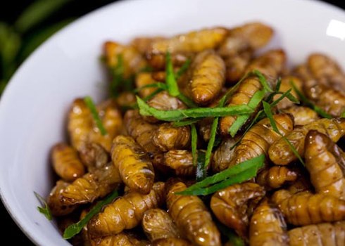 Nhộng tằm xào lá lốt vừa béo vừa thơm