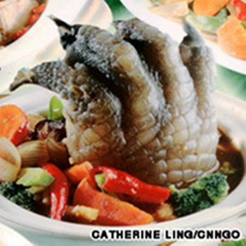 Chân cá sấu