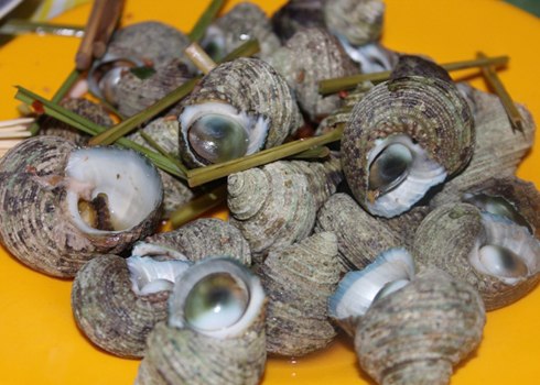 Ốc mặt trăng luộc