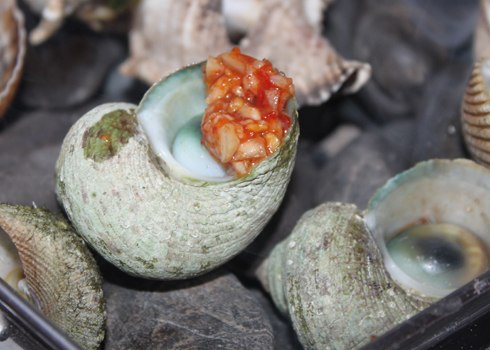 Ốc mặt trăng nướng đá