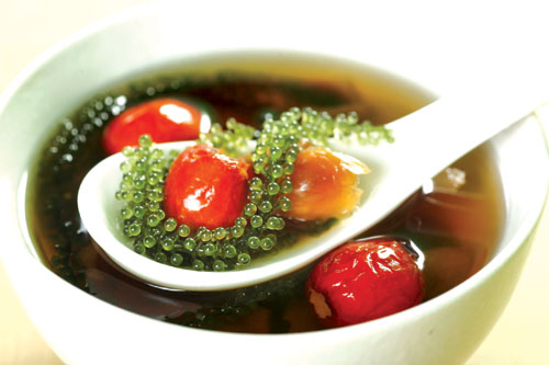 “Rau” biển - tảo