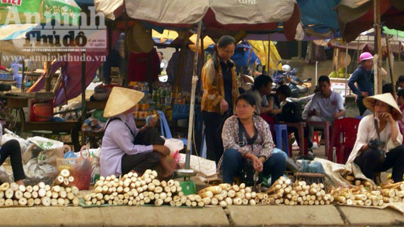 Bán măng đắng
