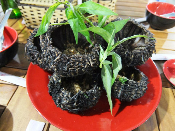 Nhum biển