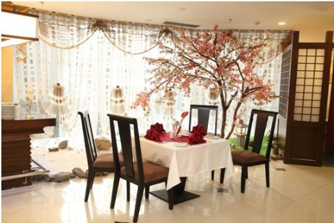 Bàn ăn dưới tán hoa anh đào tại Lotus - Sakura Candeo Hotels Hanoi.
