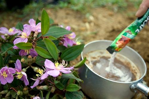 Pha cà phê bằng xoong - Ảnh: Thủy Trần 