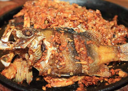 Cá sơn gà, món ngon của biển