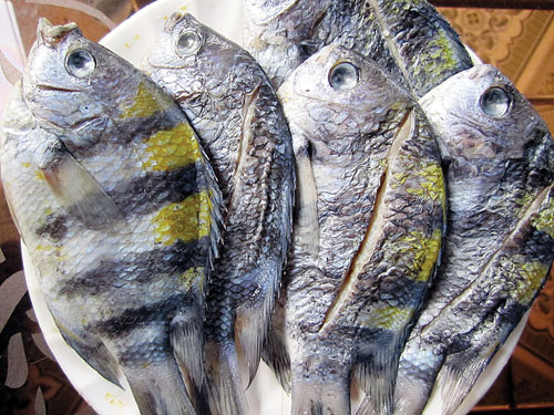 Cá thia muối mặn